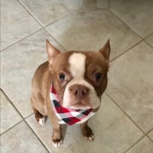 Meet your Posher, Sherry